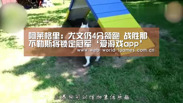 爱游戏官网
