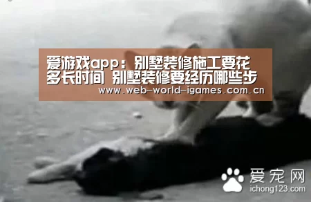 爱游戏