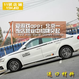爱游戏
