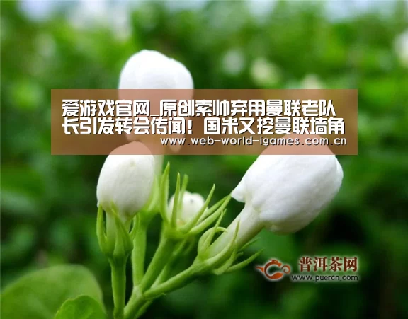 爱游戏官网