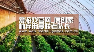爱游戏