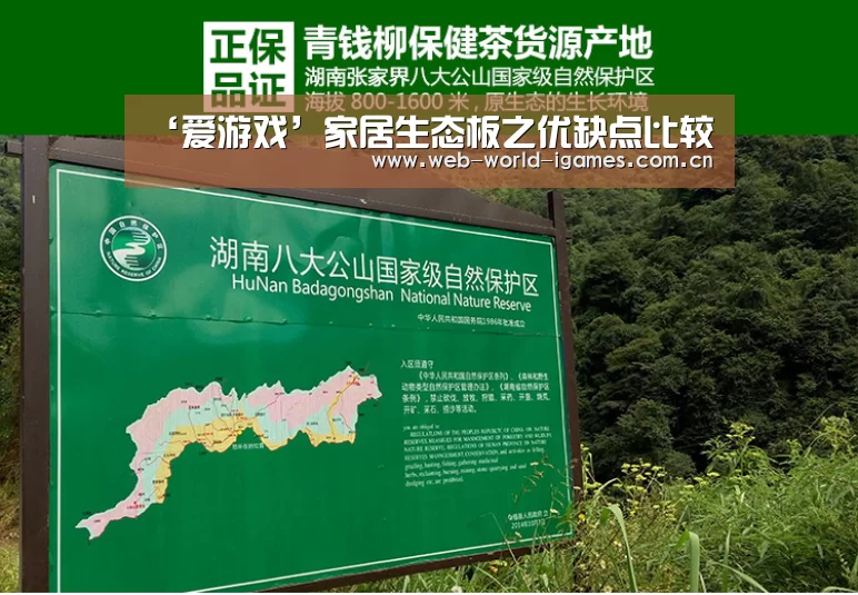 爱游戏官网